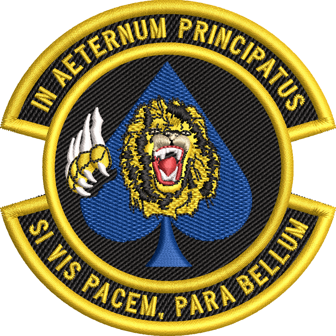 10th Missile Sq - AETERNUM PRINCIPATUS