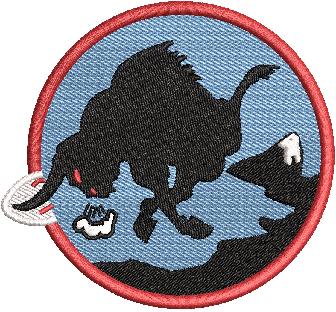 17th Attack Squadron Friday Patch