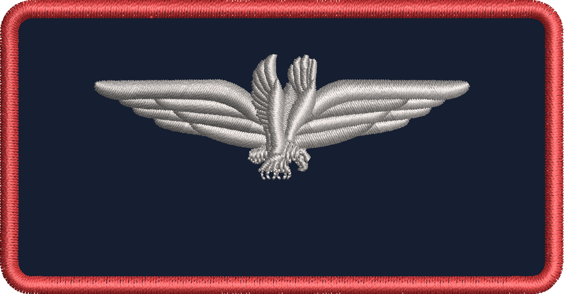 American Airline - Flight Suit Name Tag