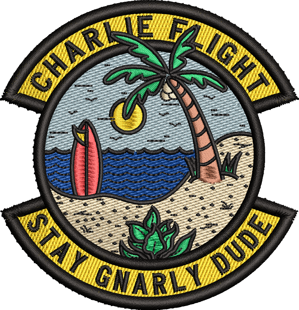 Charlie Flight FT23 - 'Stay Gnarly Dude' - COLOR