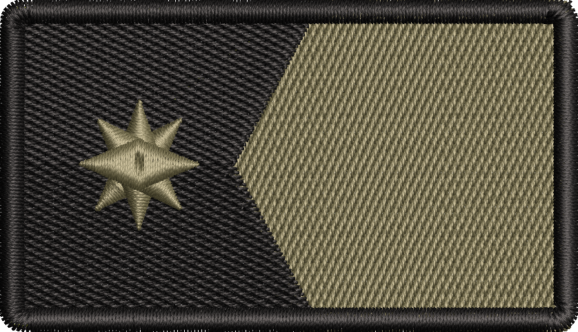 Minnesota Flag - SUBDUED