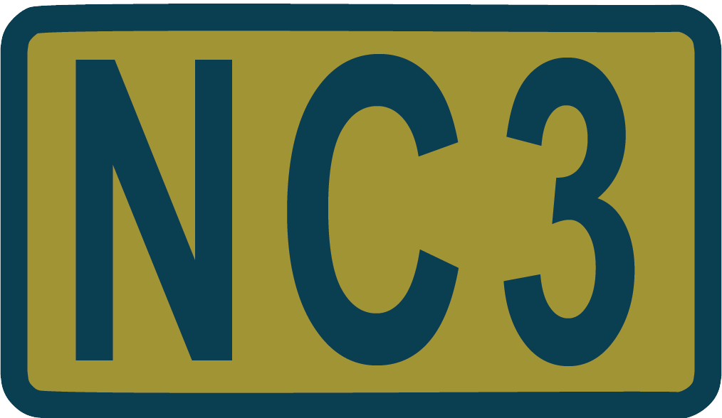 NC3 - PVC Space Force Duty Identifier Patch