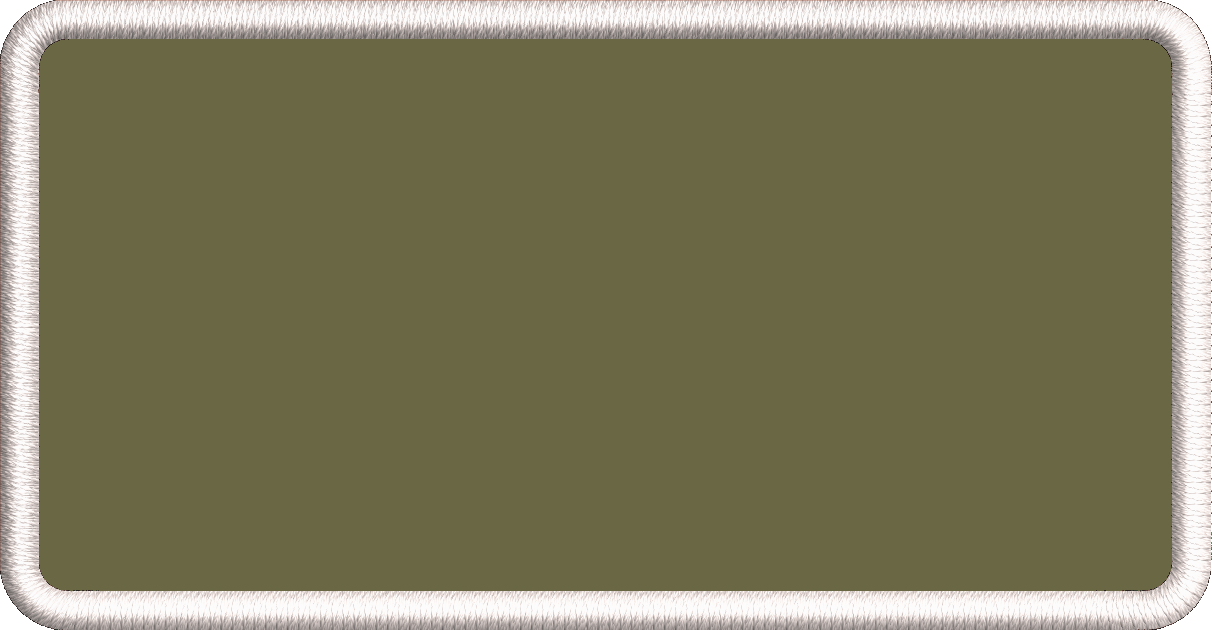 USAF Name Tags - Basic Pilot