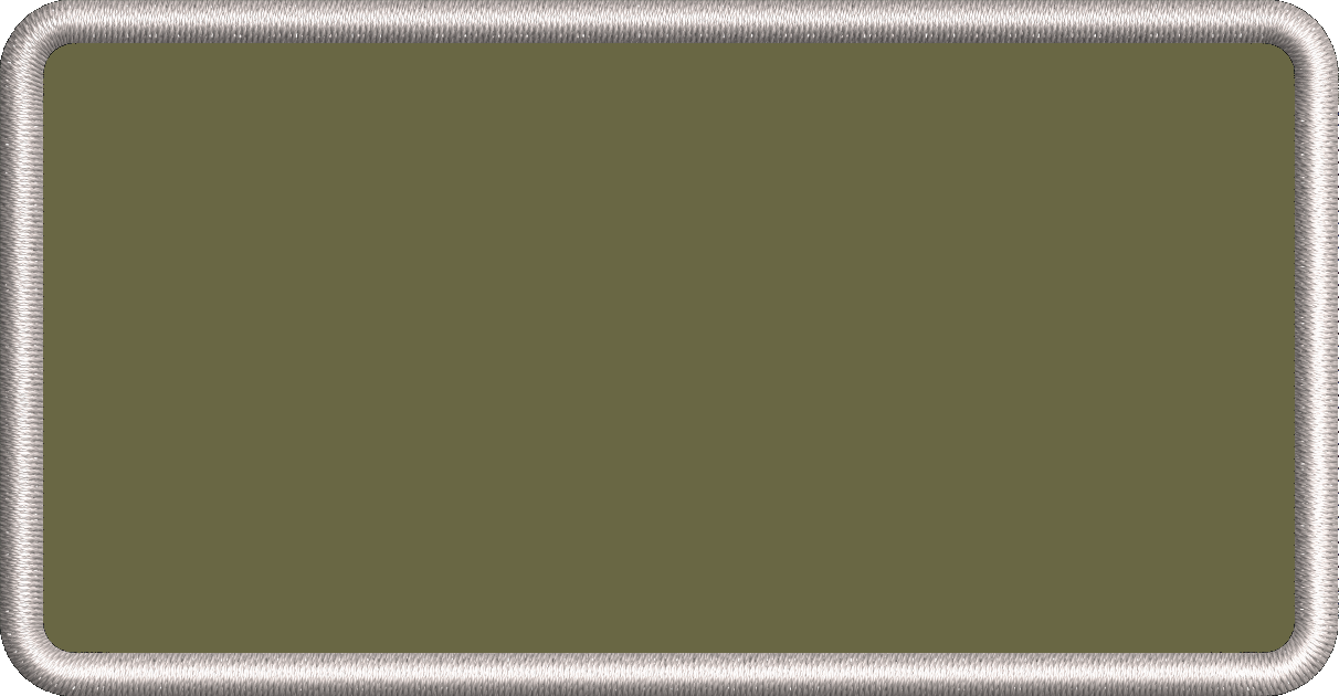 USAF Name Tags - Basic Pilot