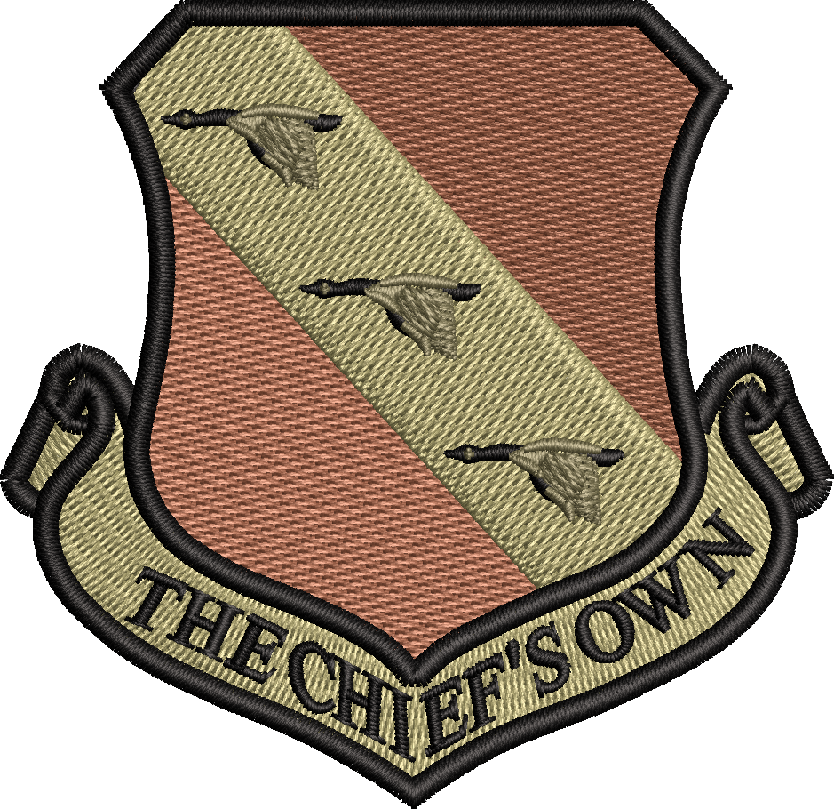 11th Wing The Chief's Own - OCP (unofficial)