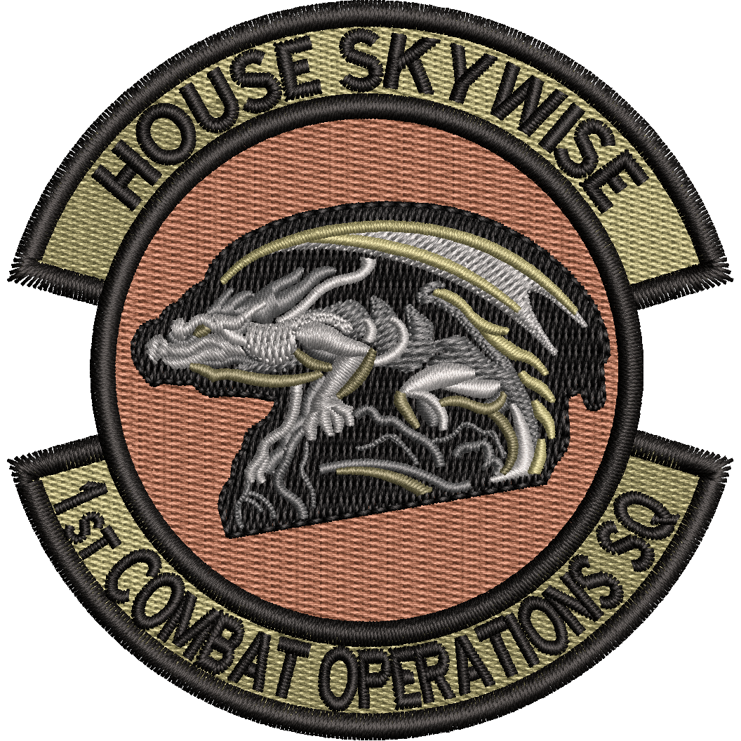 1st Combat Operations Sq