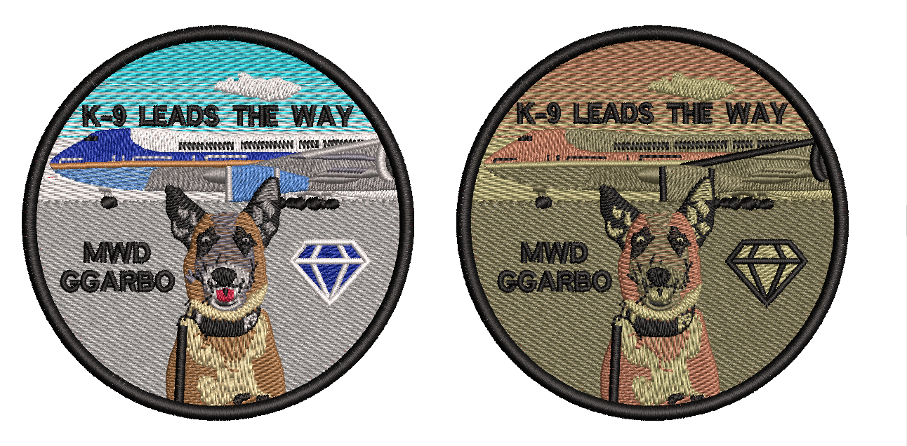 K-9 Leads the way