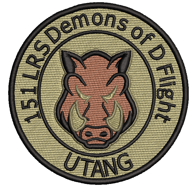 151 LRS Demons  of D Flight UTANG - OCP