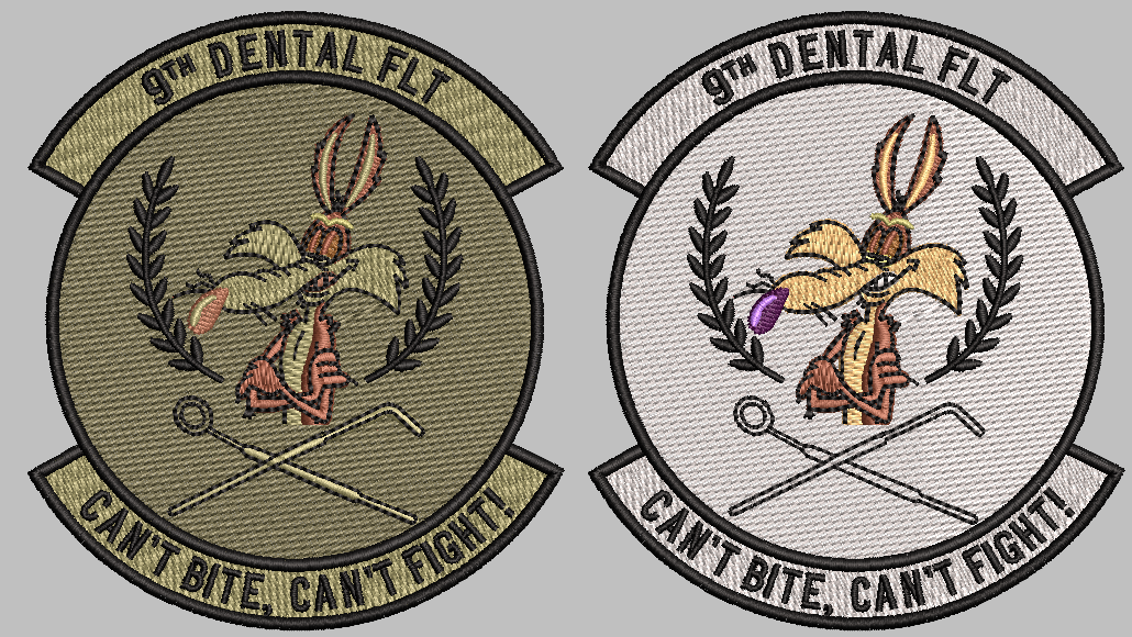 9th Dental Flt