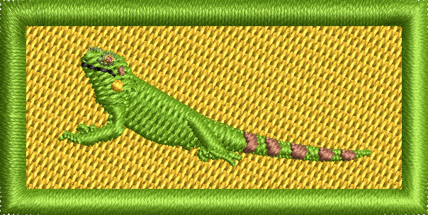 Iguana - Pen Tab